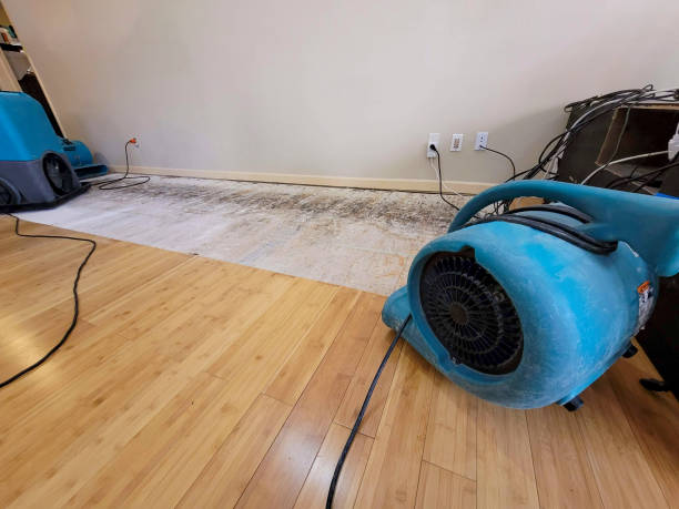 Professional Ceiling Water Damage Repair technician working in Coarsegold, CA
